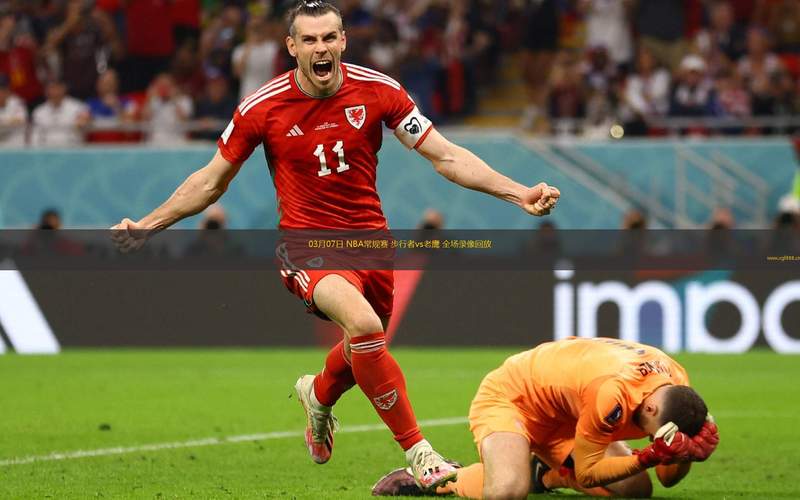 nba中文网；nba中文网录像回放